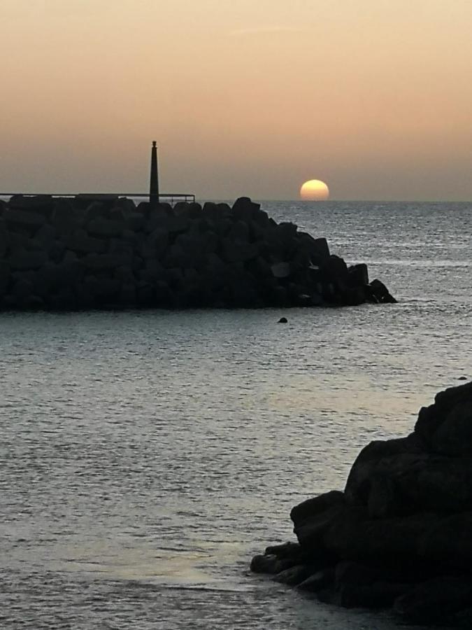 Tortuga